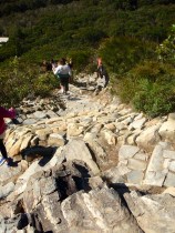 Steep path climbing Mt Coolum